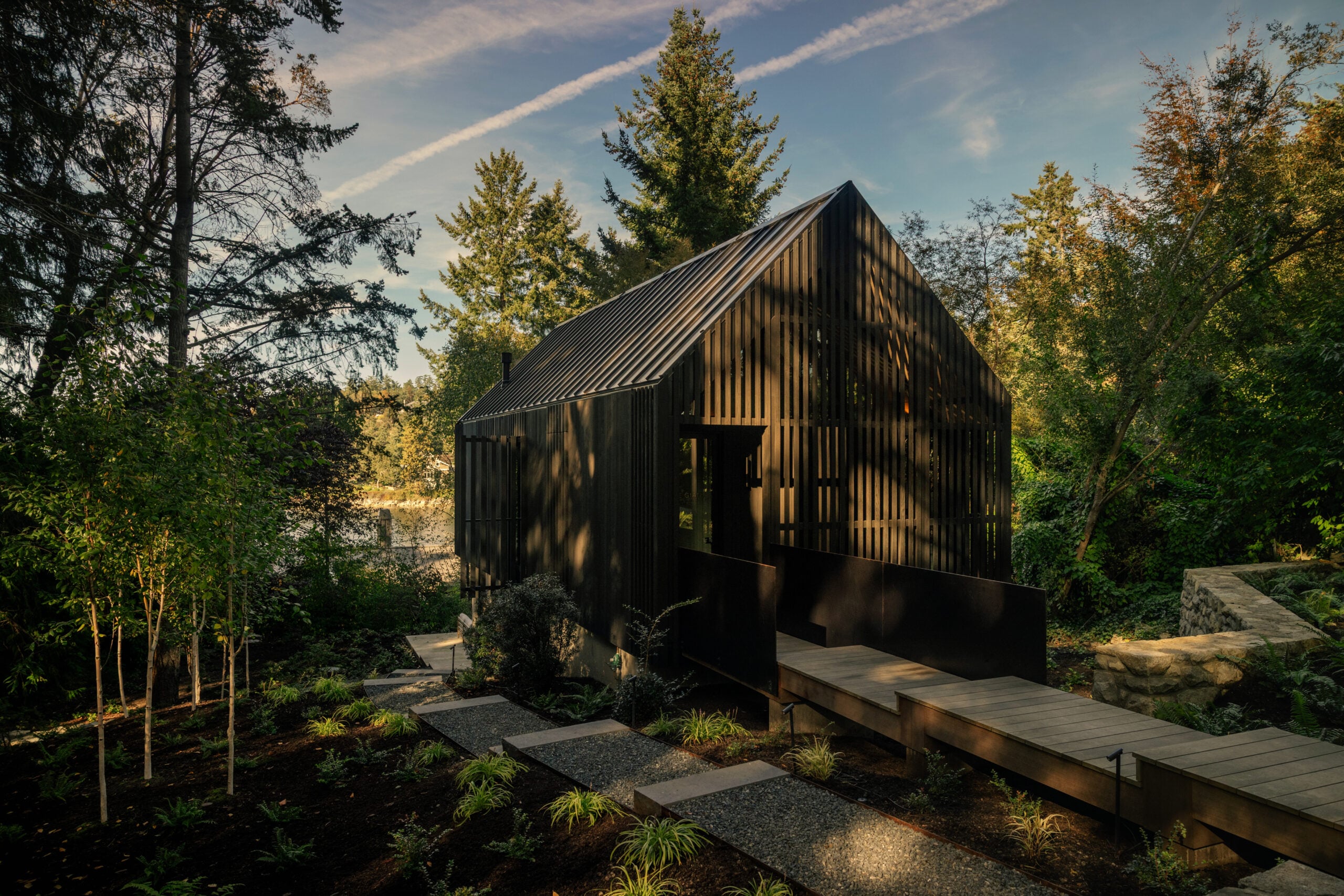 Wide view of the cedar-clad studio and elevated walkway among the trees