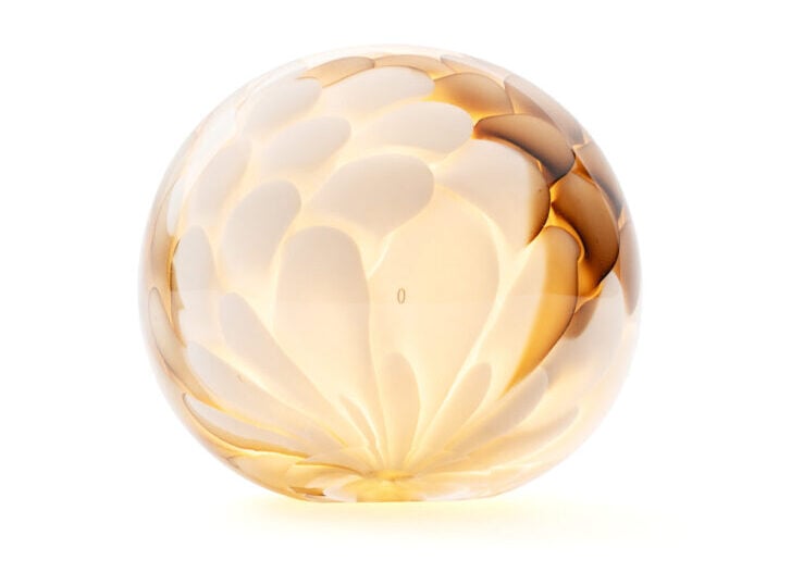 Bocci 118p light in bronze glass on white background
