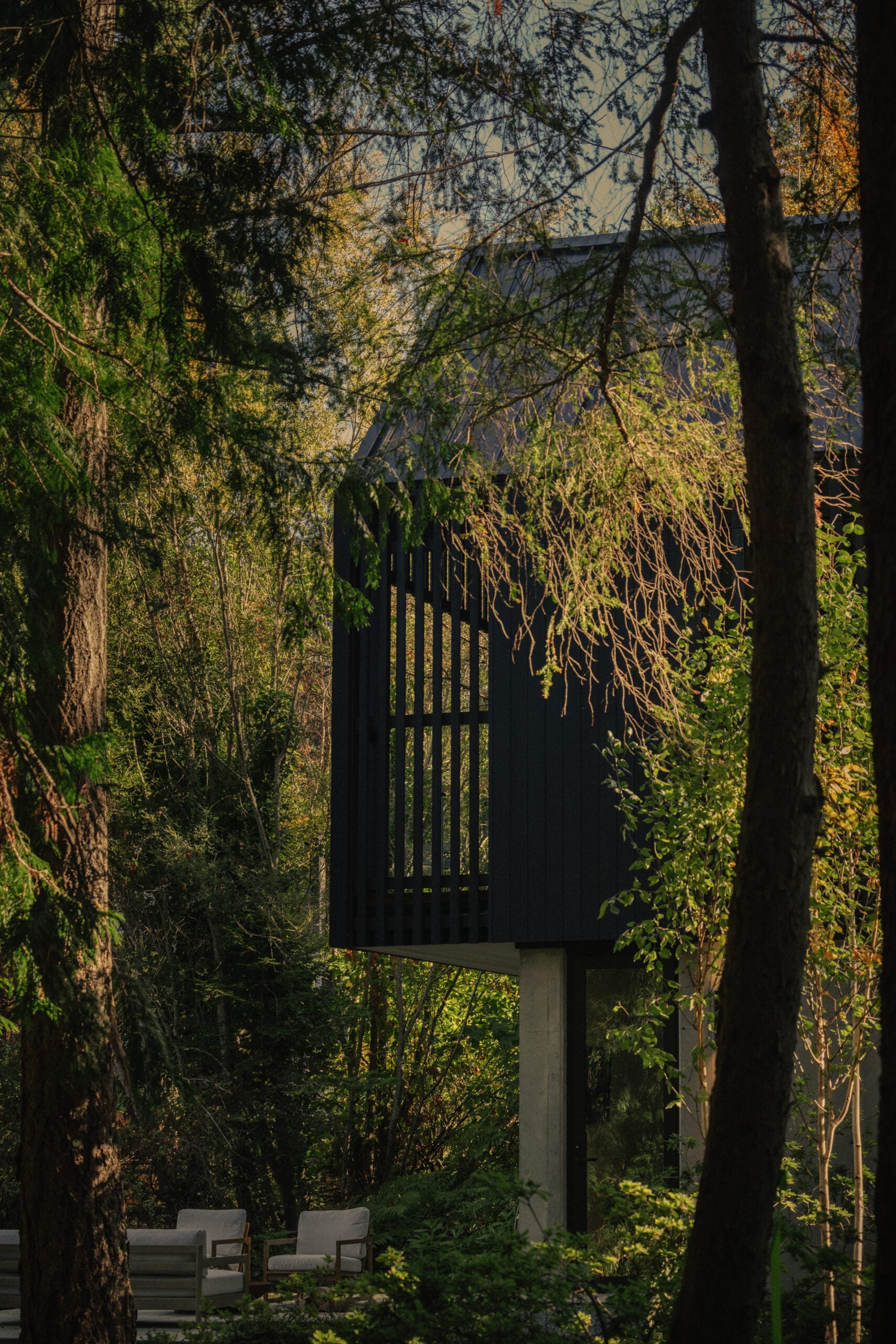 Raised cedar cabin partially visible through trees on the forested site