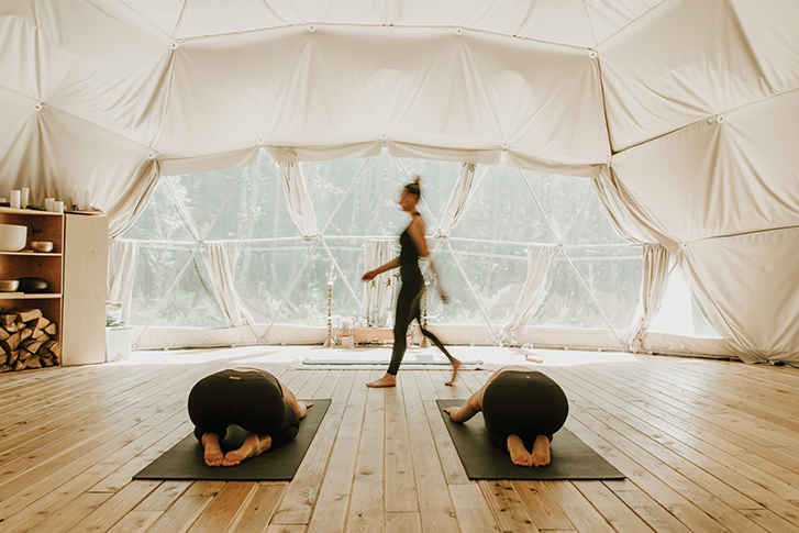 Nectar geodesic Yoga Dome