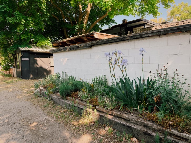 Flowers and gardens along a laneway in downtown Naramata, B.C.
