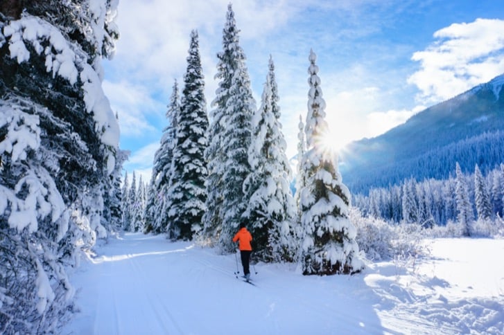 Cross-country skier exploring a snowy trail near Golden, British Columbia