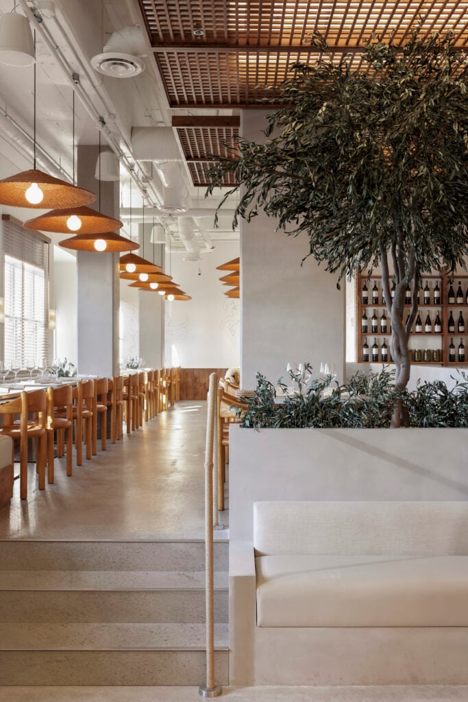View of raised platform with a preserved olive tree in a planter, looking toward the dining area lined with pine chairs and rattan pendant lights