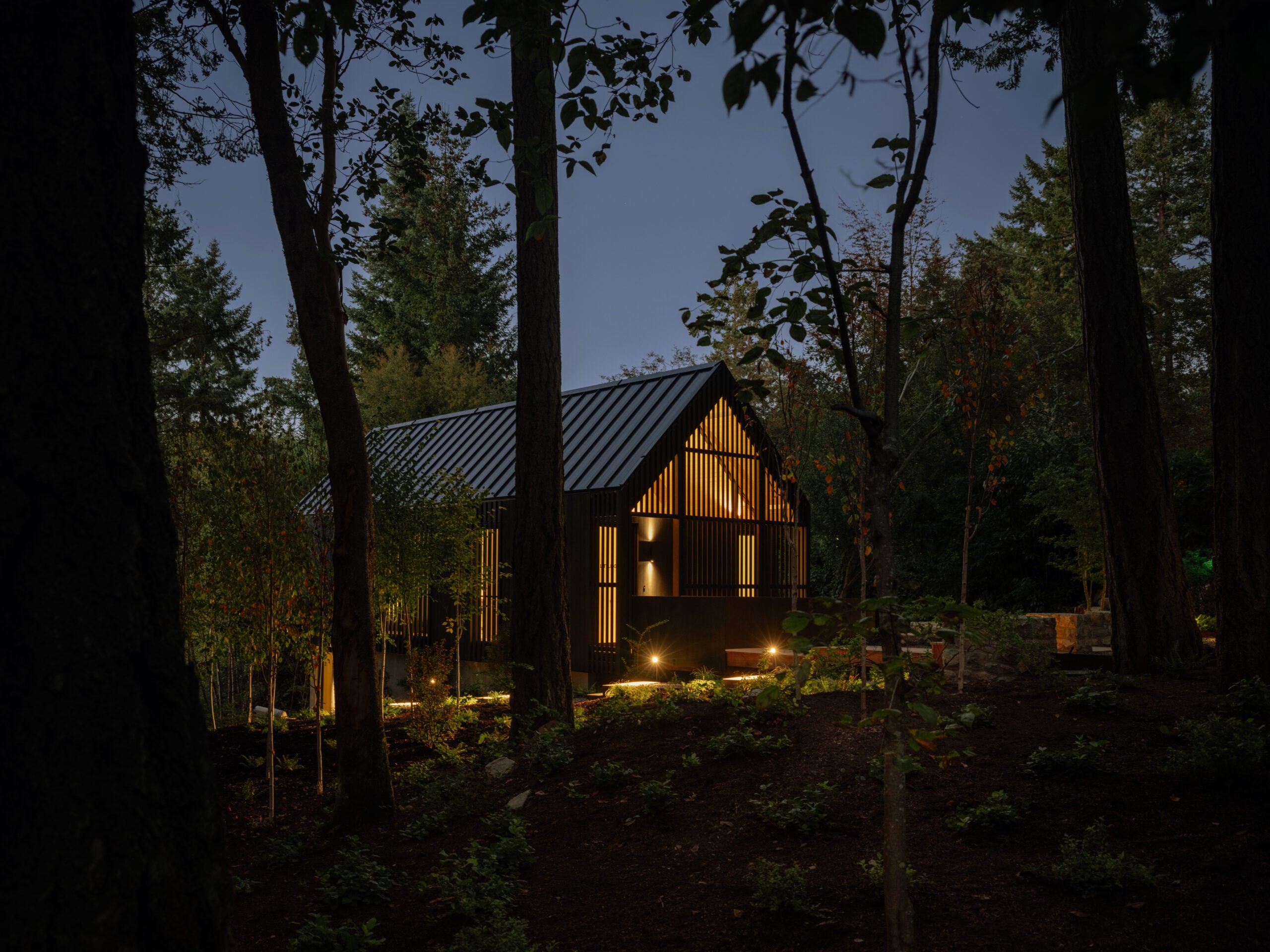 Illuminated cedar cabin surrounded by forest at night