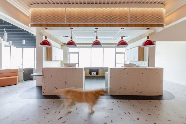 Phases Veterinary Emergency Hospital by Nëvo Design House Inc.