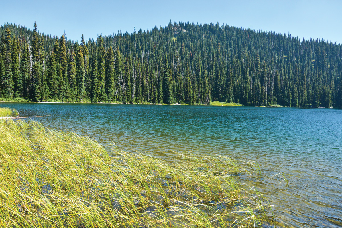 Poland lake on sale trail manning park