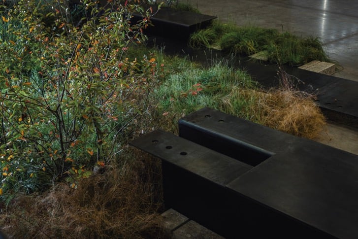 Merge Landscape Solutions by Andrew Van Egmond