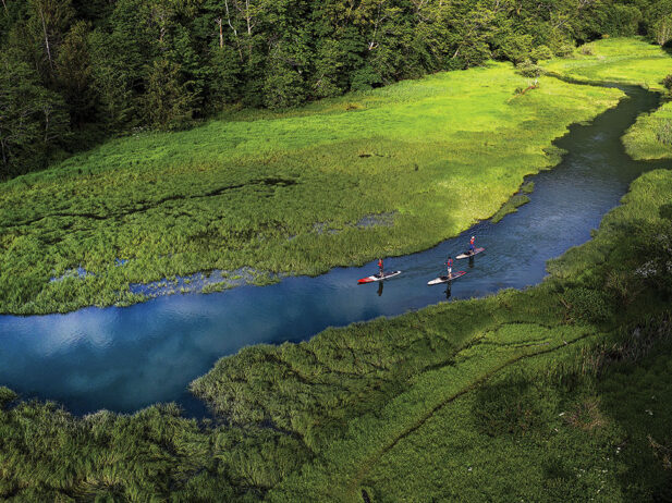 Stand up paddle boarding in the Squamish estuary