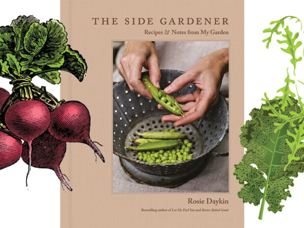 The Side Gardener cover image and graphics