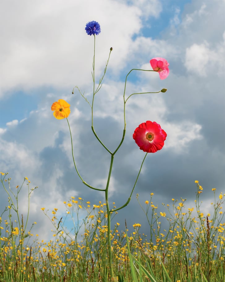Wild Flowers no. 12 by Jennifer Latour, a tall branching sculpture with colourful flowers in a meadow beneath a cloudy sky.