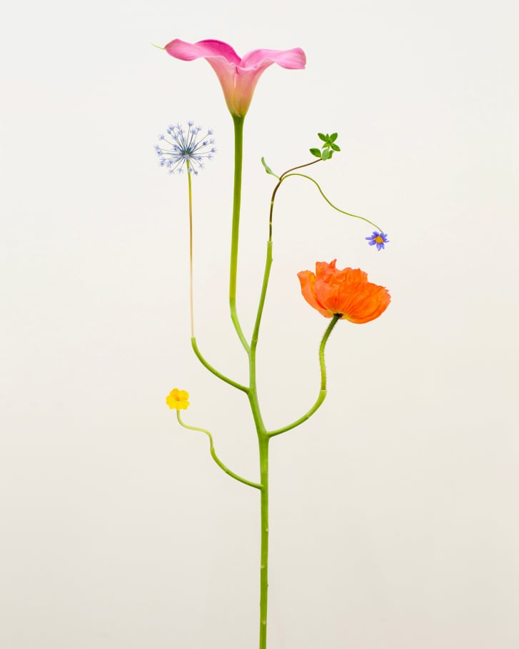 Bound Species no. 37 by Jennifer Latour, a delicate sculptural arrangement of pink, orange, blue and yellow flowers on a branching green stem.