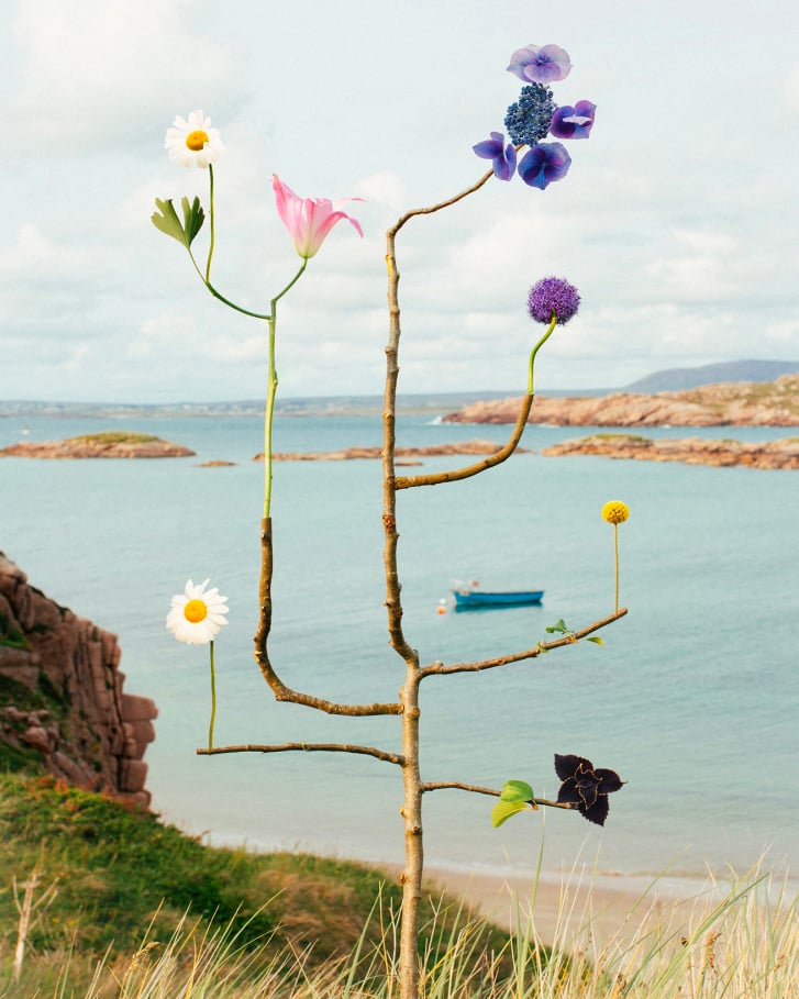 Wild Species no. 32 by Jennifer Latour, a branching sculpture of daisies, lilies and purple flowers overlooking the Irish coastline.
