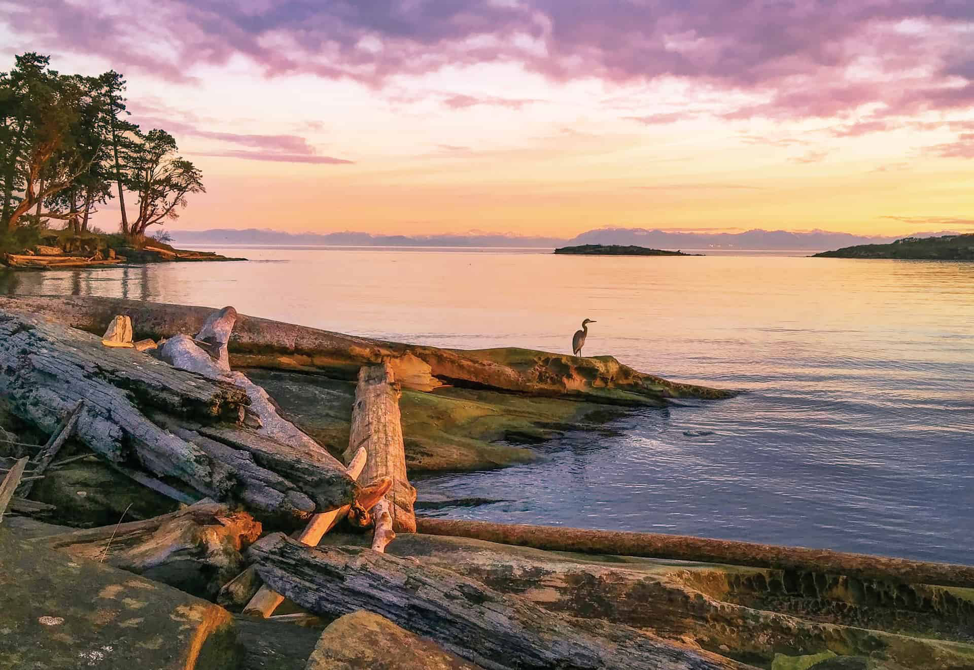 Getaway Guide How To Spend One Perfect Day On Galiano Island