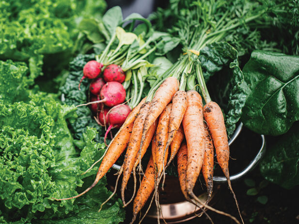 Carrots and radish and spinach oh my...